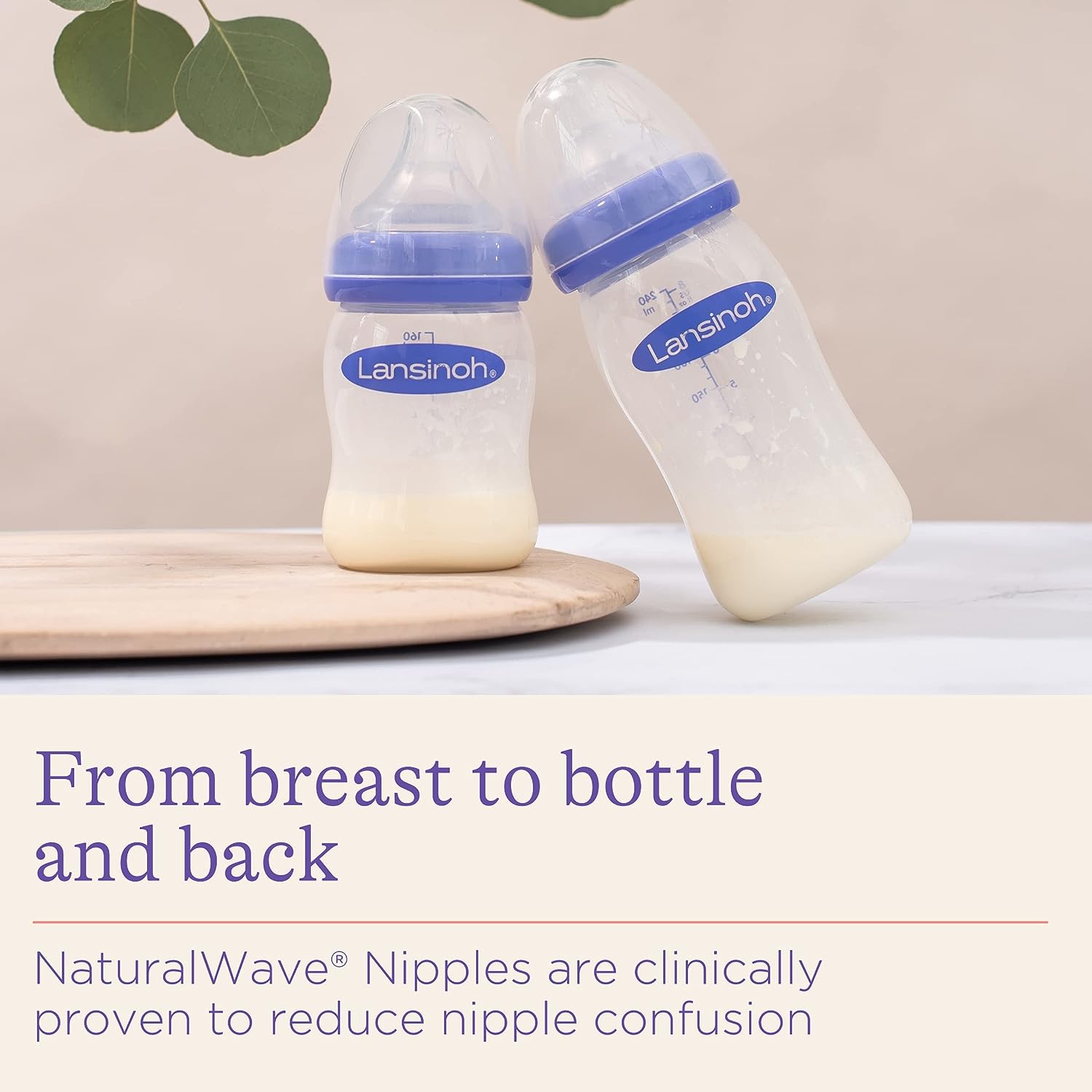 Lansinoh Baby Bottles for Breastfeeding Babies, 8 Ounces, 3 Count, Includes 3 Medium Flow Nipples (Size 3M) - Image 2